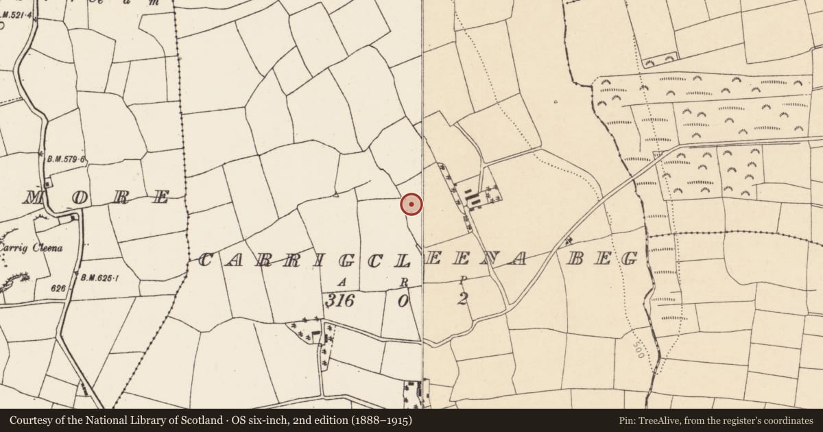 Ordnance Survey six-inch map, 2nd edition (1888–1915) covering the location of Ringfort - rath, Carrigcleena Beg, County Cork, with a pin at the register's coordinates