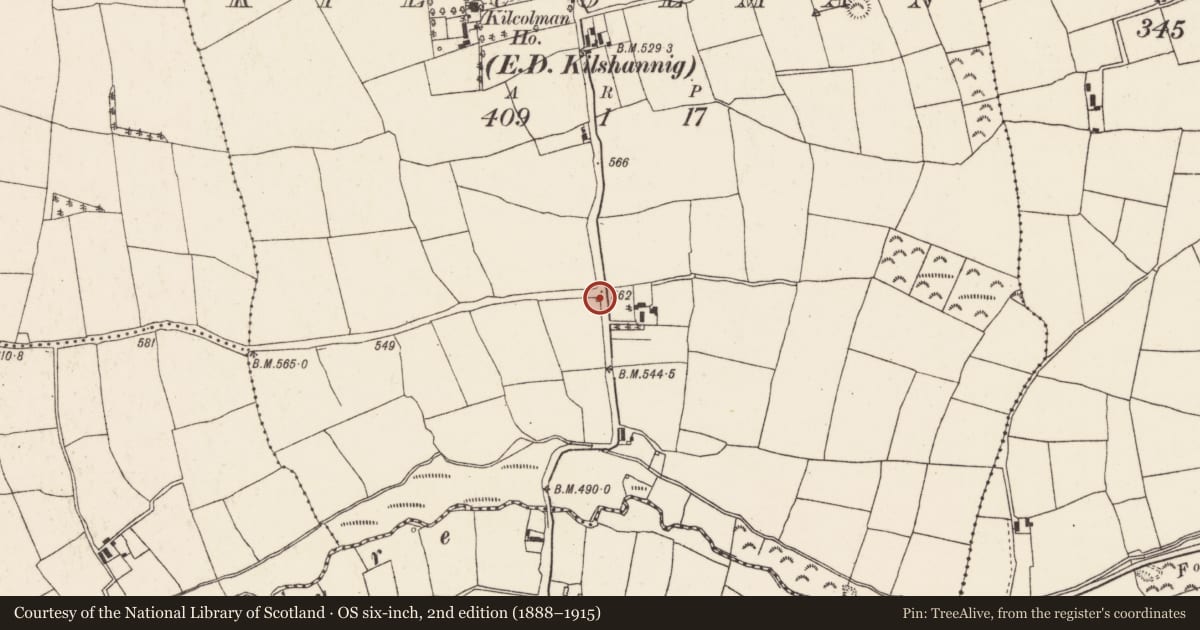 Ordnance Survey six-inch map, 2nd edition (1888–1915) covering the location of Kiln - lime, Kilcolman (Duhallow By., Kilshannig Par.), County Cork, with a pin at the register's coordinates