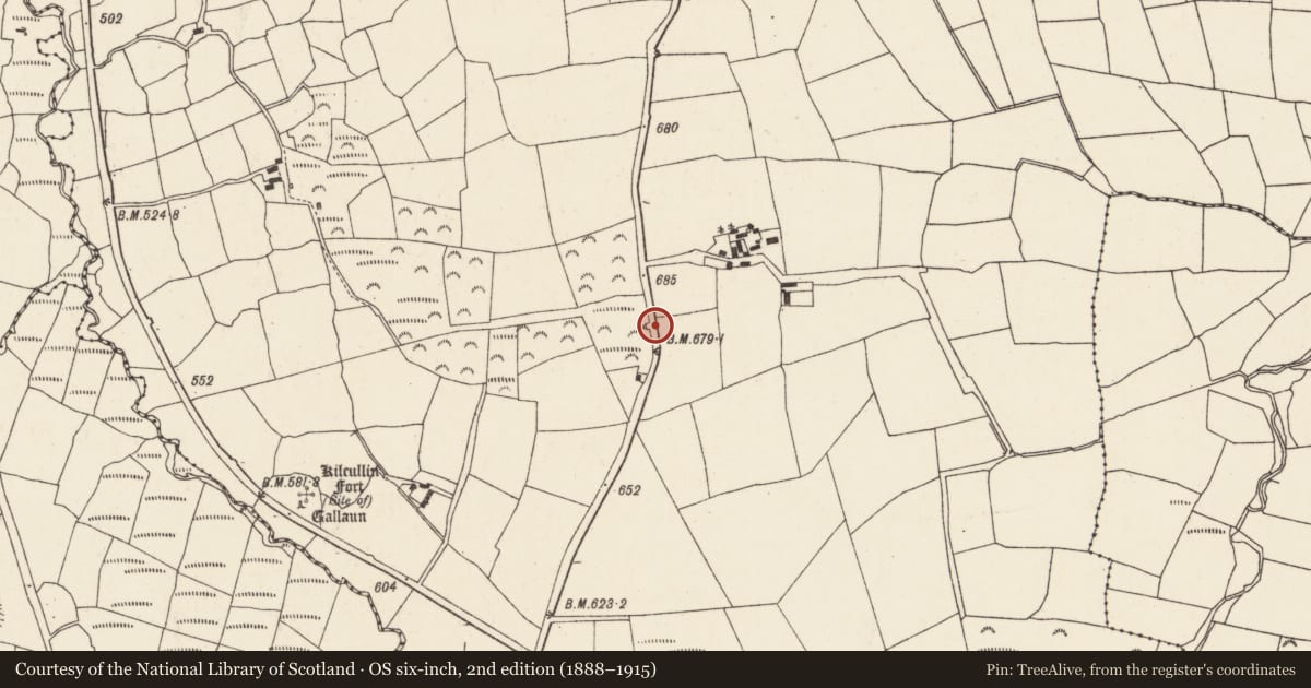 Ordnance Survey six-inch map, 2nd edition (1888–1915) covering the location of Kiln - lime, Lackendarragh, County Cork, with a pin at the register's coordinates
