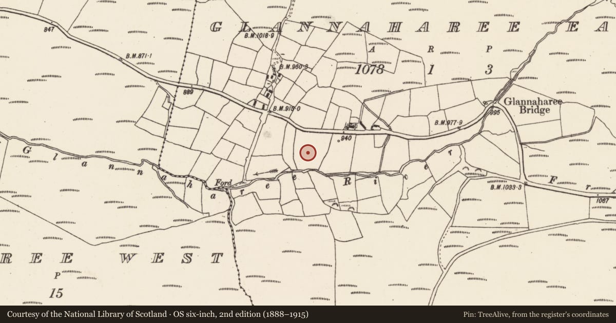 Ordnance Survey six-inch map, 2nd edition (1888–1915) covering the location of Standing stone, Glannaharee East, County Cork, with a pin at the register's coordinates