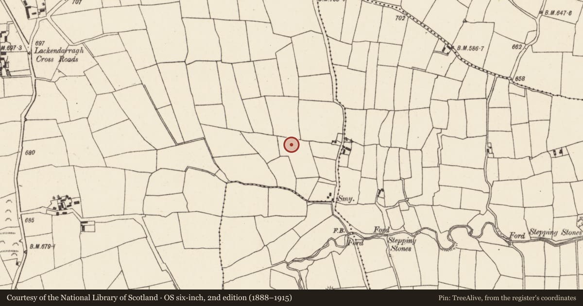 Ordnance Survey six-inch map, 2nd edition (1888–1915) covering the location of Fulacht fia, Lackendarragh, County Cork, with a pin at the register's coordinates