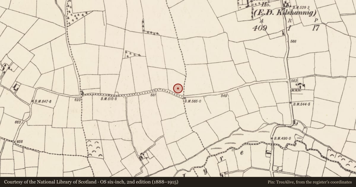 Ordnance Survey six-inch map, 2nd edition (1888–1915) covering the location of Fulacht fia, Aldworth, County Cork, with a pin at the register's coordinates