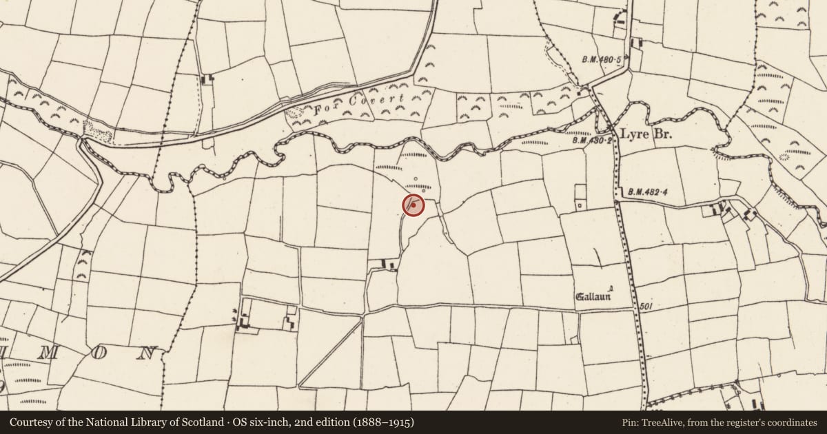 Ordnance Survey six-inch map, 2nd edition (1888–1915) covering the location of Fulacht fia, Nursetown More, County Cork, with a pin at the register's coordinates