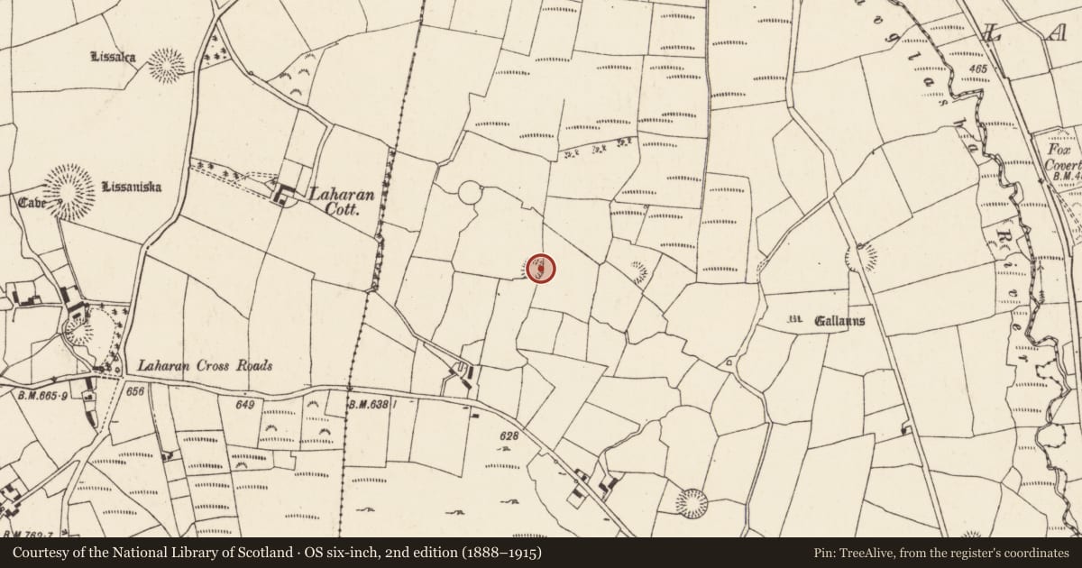 Ordnance Survey six-inch map, 2nd edition (1888–1915) covering the location of Souterrain, Gneeves (Duhallow By., Kilshannig Par.), County Cork, with a pin at the register's coordinates