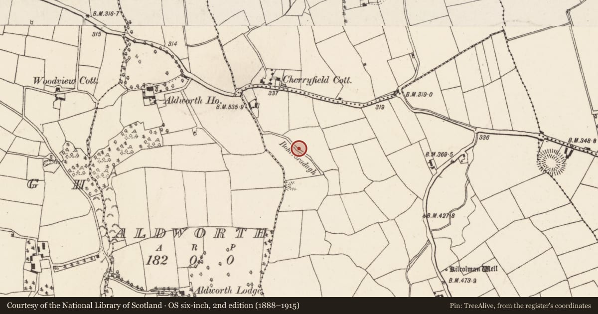 Ordnance Survey six-inch map, 2nd edition (1888–1915) covering the location of Road - road/trackway, Kilcolman (Duhallow By., Kilshannig Par.), County Cork, with a pin at the register's coordinates