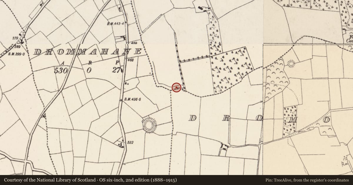 Ordnance Survey six-inch map, 2nd edition (1888–1915) covering the location of Fulacht fia, Dromore, County Cork, with a pin at the register's coordinates