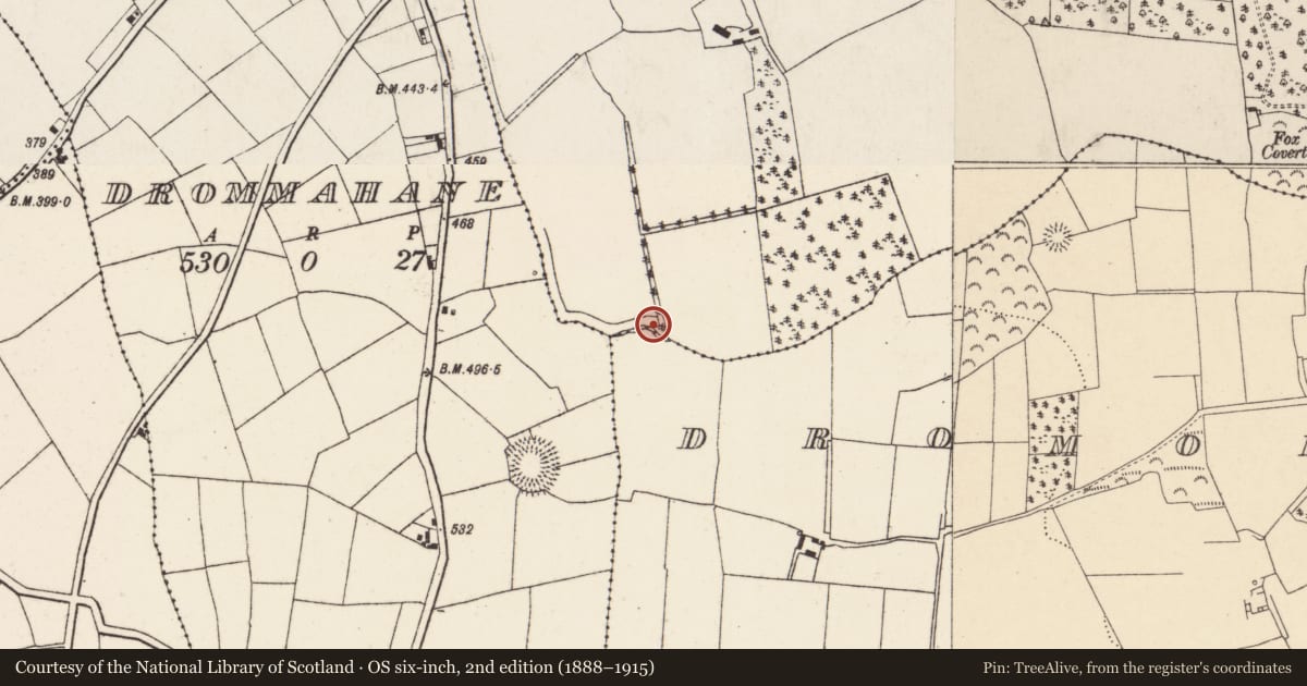 Ordnance Survey six-inch map, 2nd edition (1888–1915) covering the location of Fulacht fia, Dromore, County Cork, with a pin at the register's coordinates