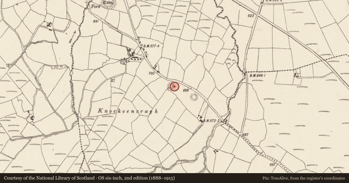 Ordnance Survey six-inch map, 2nd edition (1888–1915) covering the location of Souterrain, Garrane (Duhallow By., Kilshannig Par.), County Cork, with a pin at the register's coordinates