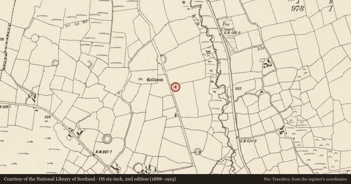 Ordnance Survey six-inch map, 2nd edition (1888–1915) covering the location of Souterrain, Gneeves (Duhallow By., Kilshannig Par.), County Cork, with a pin at the register's coordinates