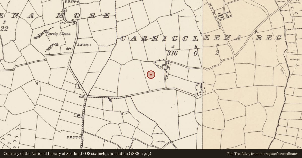 Ordnance Survey six-inch map, 2nd edition (1888–1915) covering the location of Enclosure, Carrigcleena Beg, County Cork, with a pin at the register's coordinates