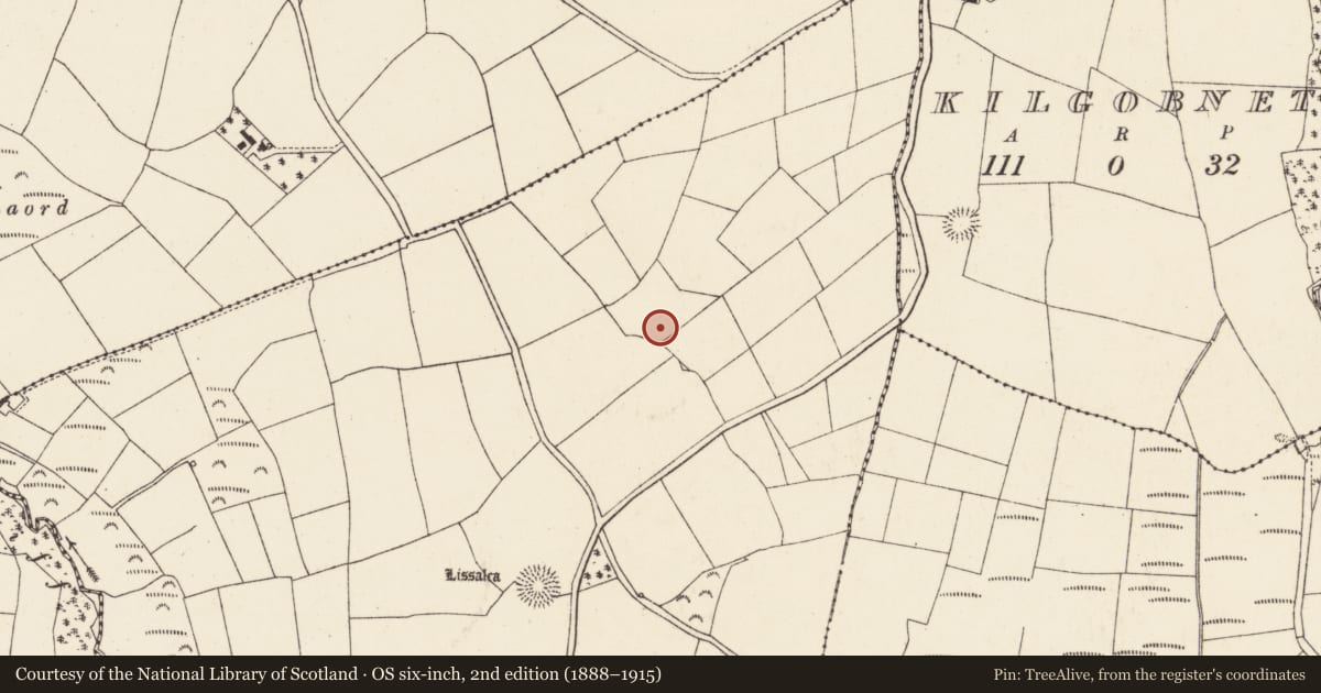 Ordnance Survey six-inch map, 2nd edition (1888–1915) covering the location of Burnt mound, Laharan, County Cork, with a pin at the register's coordinates