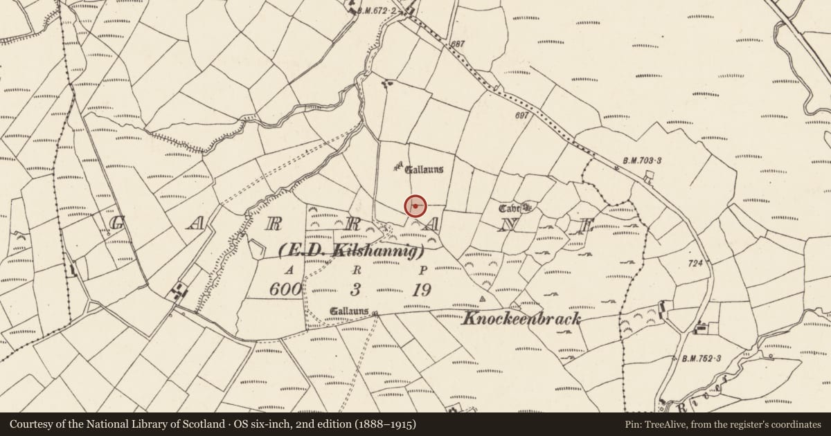 Ordnance Survey six-inch map, 2nd edition (1888–1915) covering the location of Anomalous stone group, Garrane (Duhallow By., Kilshannig Par.), County Cork, with a pin at the register's coordinates