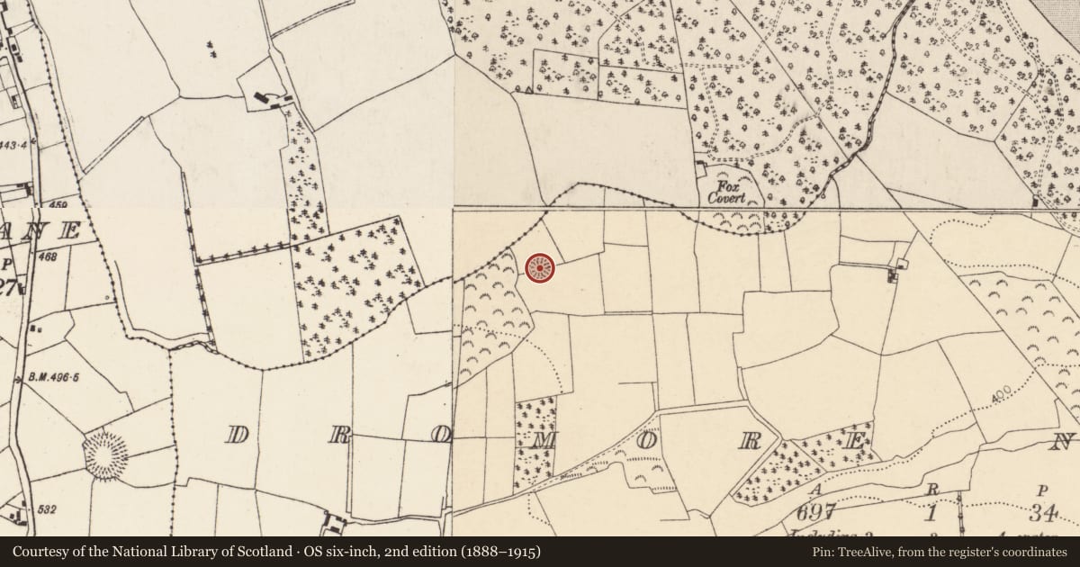 Ordnance Survey six-inch map, 2nd edition (1888–1915) covering the location of Ringfort - rath, Dromore North, County Cork, with a pin at the register's coordinates