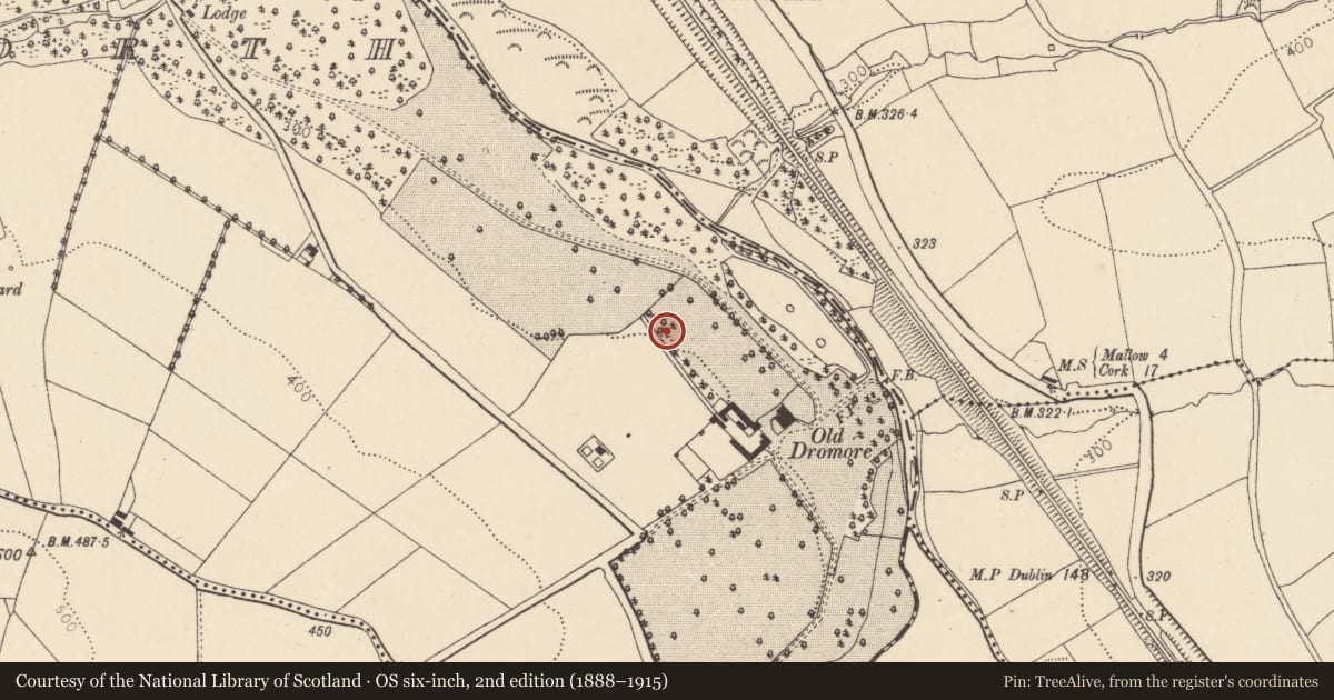 Ordnance Survey six-inch map, 2nd edition (1888–1915) covering the location of Church, Dromore North, County Cork, with a pin at the register's coordinates