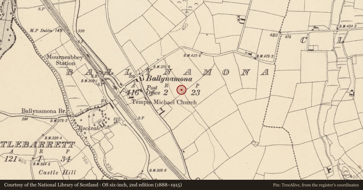 Ordnance Survey six-inch map, 2nd edition (1888–1915) covering the location of Souterrain, Ballynamona, County Cork, with a pin at the register's coordinates