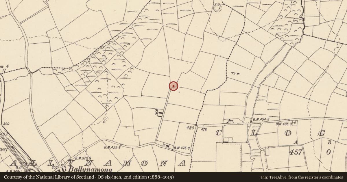 Ordnance Survey six-inch map, 2nd edition (1888–1915) covering the location of Ringfort - rath, Ballynamona, County Cork, with a pin at the register's coordinates