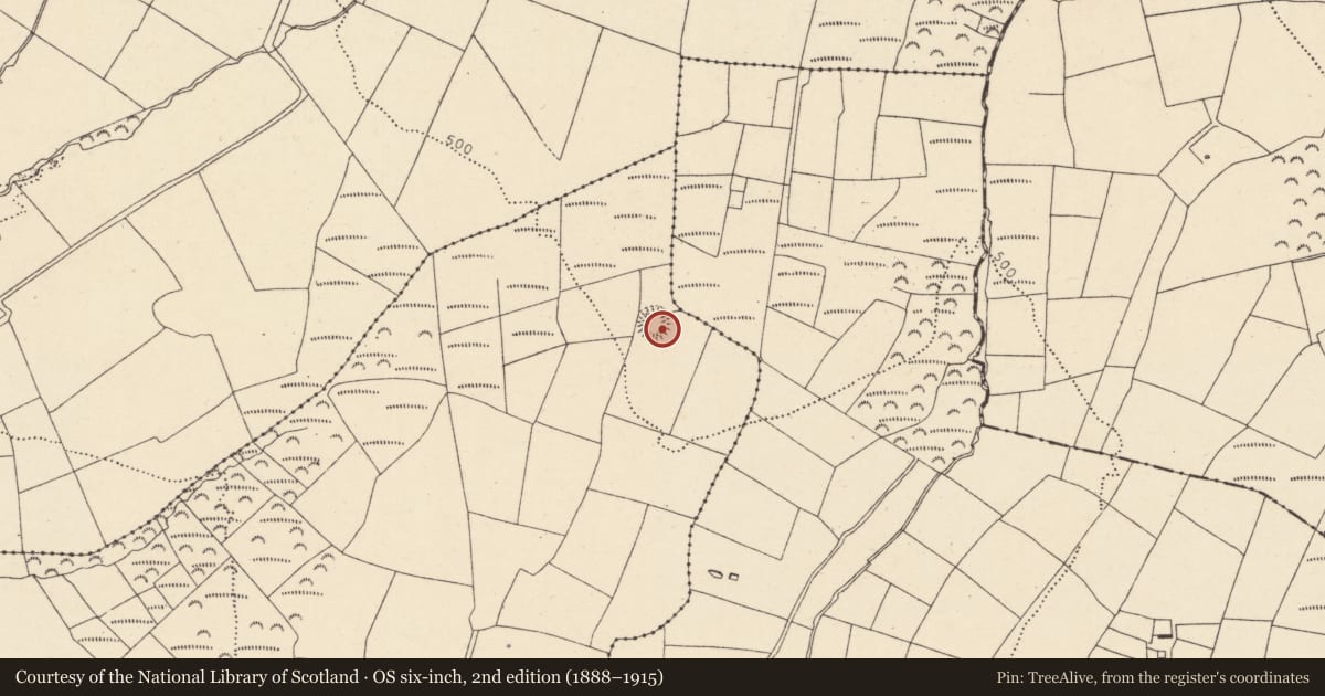 Ordnance Survey six-inch map, 2nd edition (1888–1915) covering the location of Ringfort - rath, Ballynamona, County Cork, with a pin at the register's coordinates