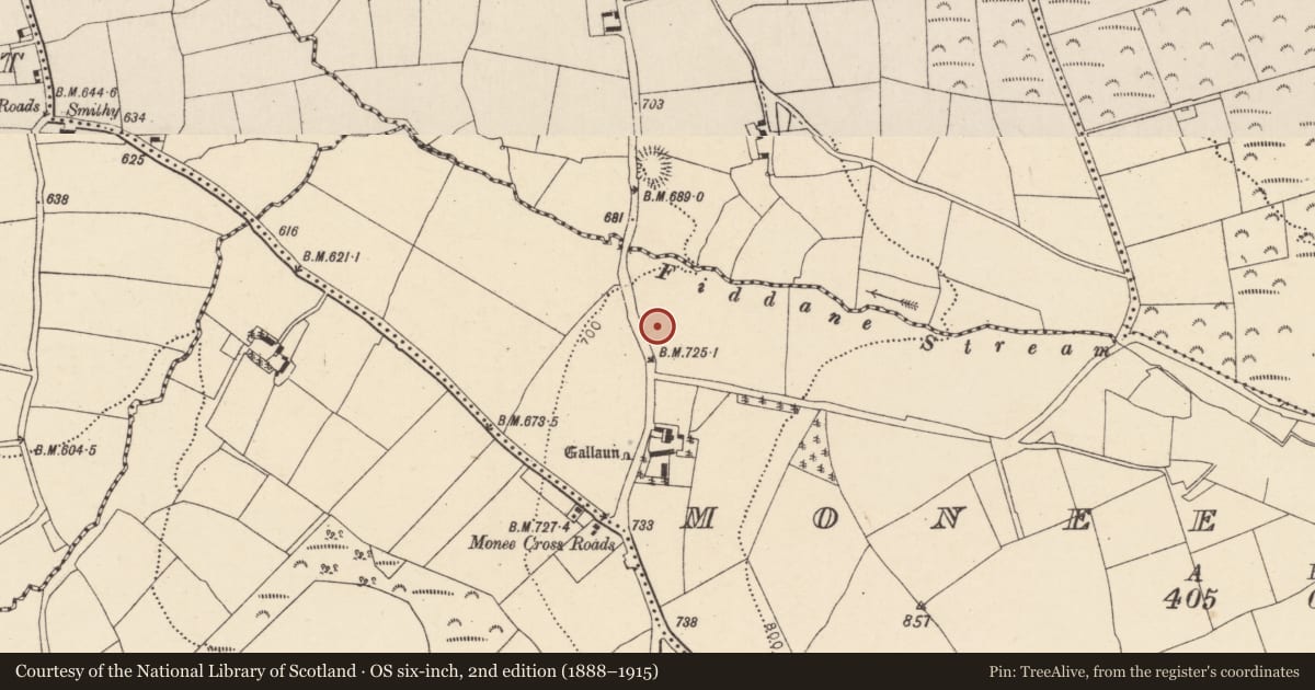 Ordnance Survey six-inch map, 2nd edition (1888–1915) covering the location of Standing stone, Monee East, County Cork, with a pin at the register's coordinates