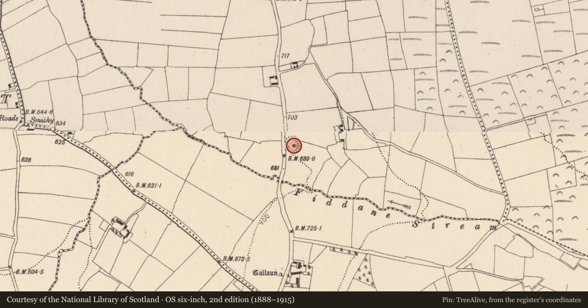 Ordnance Survey six-inch map, 2nd edition (1888–1915) covering the location of Ringfort - rath, Fiddane North, County Cork, with a pin at the register's coordinates