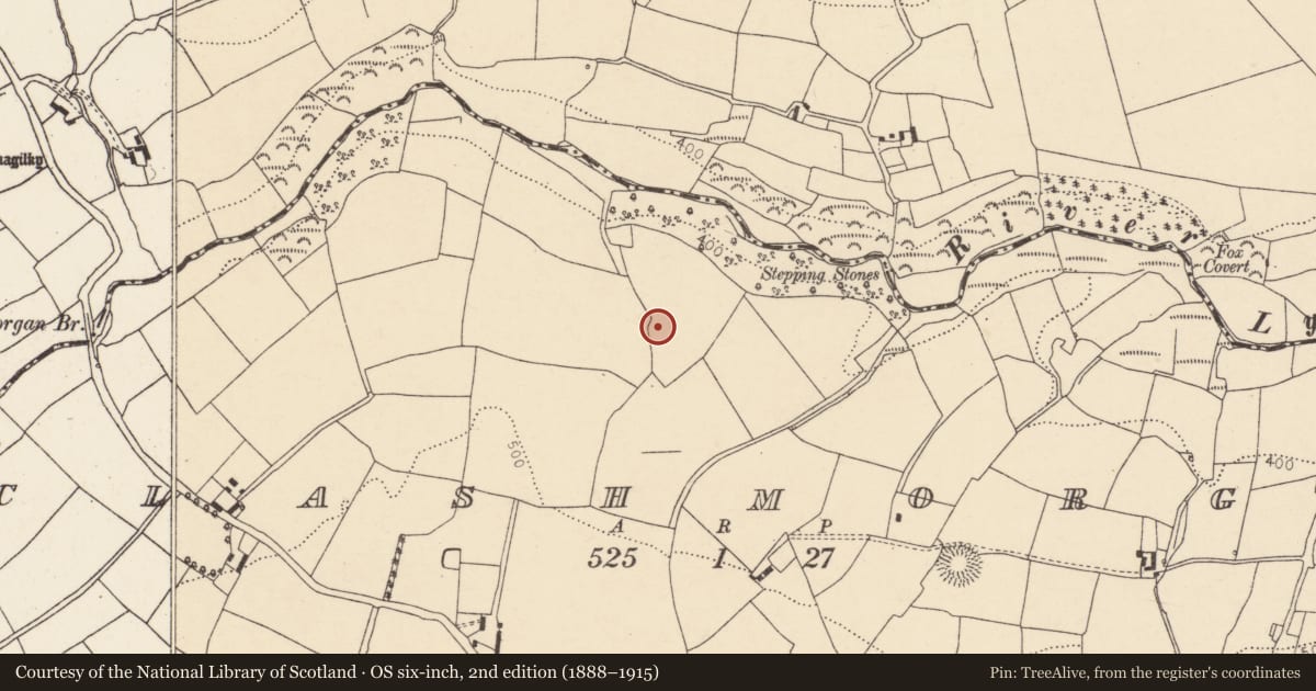 Ordnance Survey six-inch map, 2nd edition (1888–1915) covering the location of Ringfort - rath, Clashmorgan, County Cork, with a pin at the register's coordinates