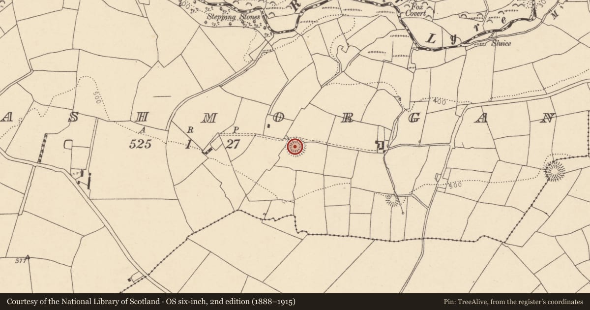 Ordnance Survey six-inch map, 2nd edition (1888–1915) covering the location of Ringfort - rath, Clashmorgan, County Cork, with a pin at the register's coordinates