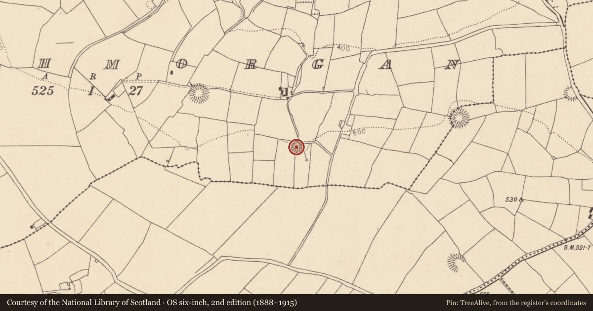 Ordnance Survey six-inch map, 2nd edition (1888–1915) covering the location of Ringfort - rath, Clashmorgan, County Cork, with a pin at the register's coordinates