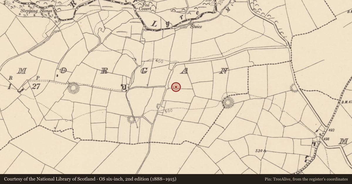 Ordnance Survey six-inch map, 2nd edition (1888–1915) covering the location of Ringfort - rath, Clashmorgan, County Cork, with a pin at the register's coordinates