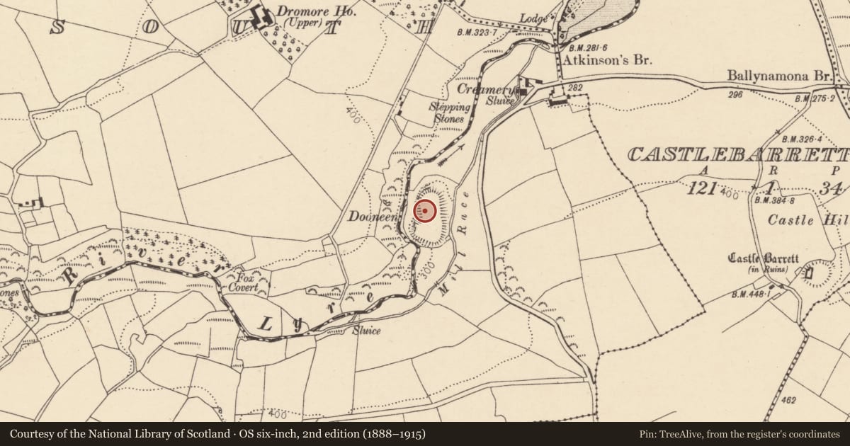 Ordnance Survey six-inch map, 2nd edition (1888–1915) covering the location of Standing stone, Clashmorgan, County Cork, with a pin at the register's coordinates