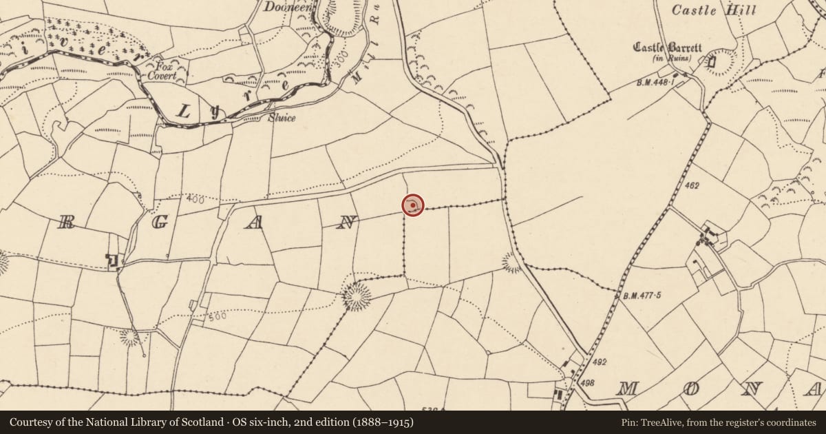 Ordnance Survey six-inch map, 2nd edition (1888–1915) covering the location of Ringfort - rath, Clashmorgan, County Cork, with a pin at the register's coordinates