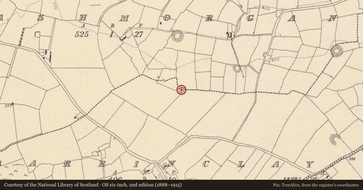 Ordnance Survey six-inch map, 2nd edition (1888–1915) covering the location of Ringfort - rath, Barrinclay, County Cork, with a pin at the register's coordinates