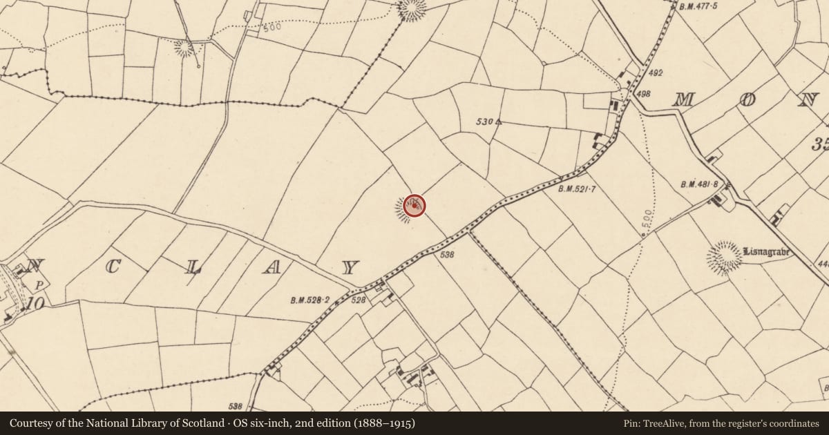Ordnance Survey six-inch map, 2nd edition (1888–1915) covering the location of Ringfort - rath, Barrinclay, County Cork, with a pin at the register's coordinates