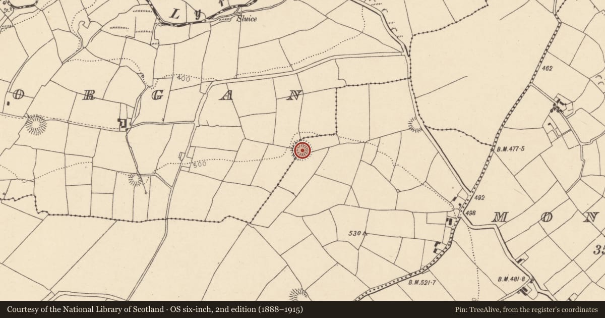 Ordnance Survey six-inch map, 2nd edition (1888–1915) covering the location of Ringfort - rath, Barrinclay, County Cork, with a pin at the register's coordinates