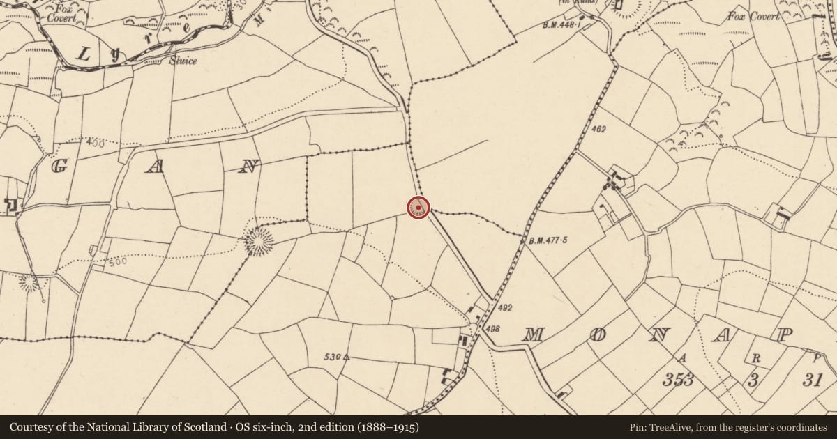 Ordnance Survey six-inch map, 2nd edition (1888–1915) covering the location of Ringfort - rath, Barrinclay, County Cork, with a pin at the register's coordinates