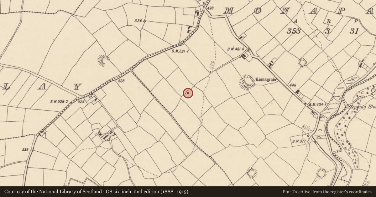 Ordnance Survey six-inch map, 2nd edition (1888–1915) covering the location of Ringfort - rath, Monaparson, County Cork, with a pin at the register's coordinates