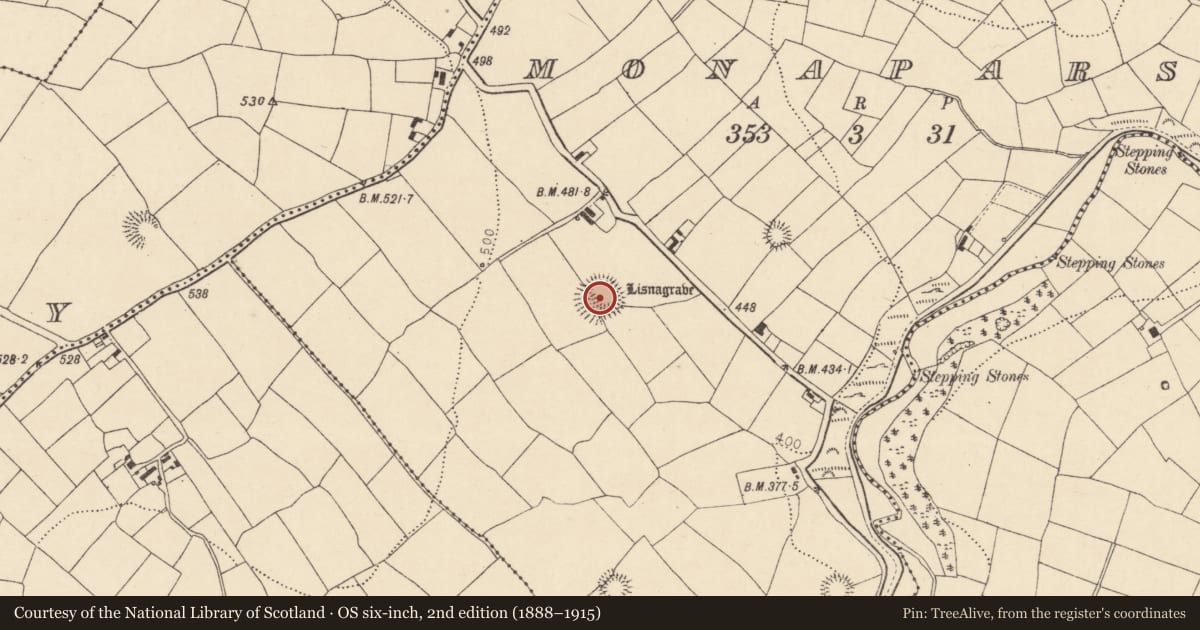 Ordnance Survey six-inch map, 2nd edition (1888–1915) covering the location of Ringfort - rath, Monaparson, County Cork, with a pin at the register's coordinates