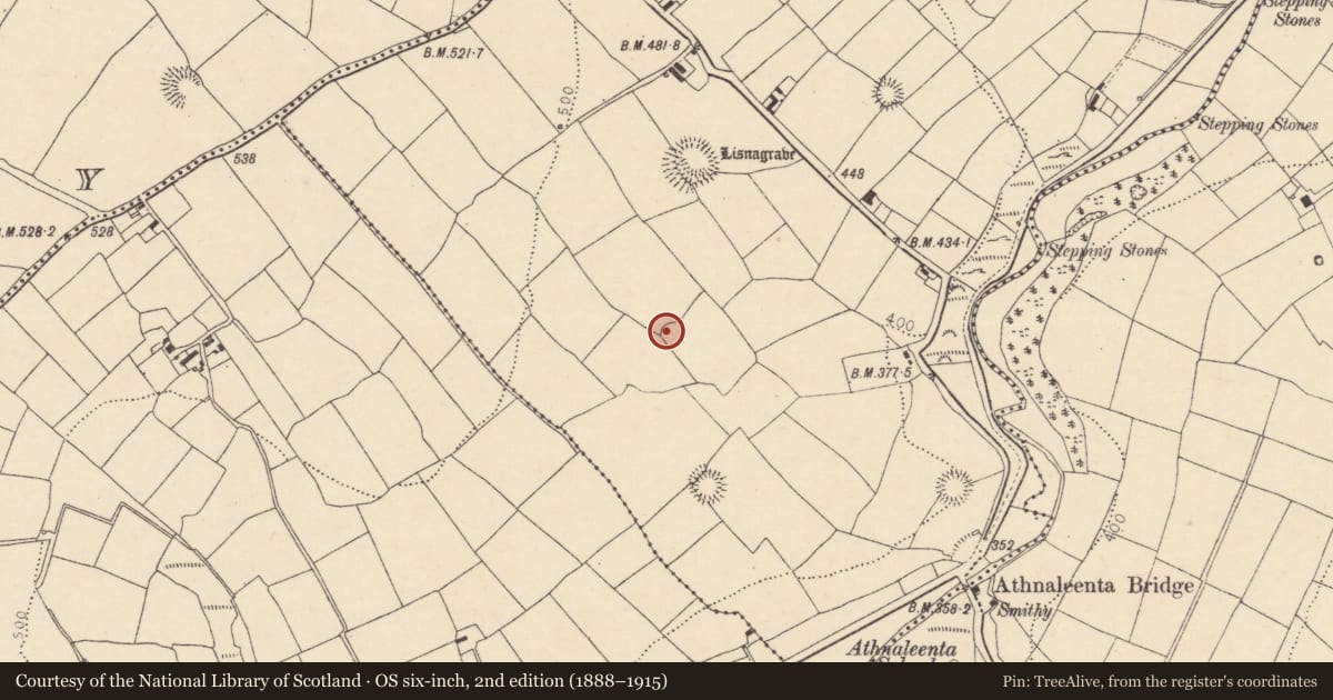 Ordnance Survey six-inch map, 2nd edition (1888–1915) covering the location of Ringfort - rath, Monaparson, County Cork, with a pin at the register's coordinates