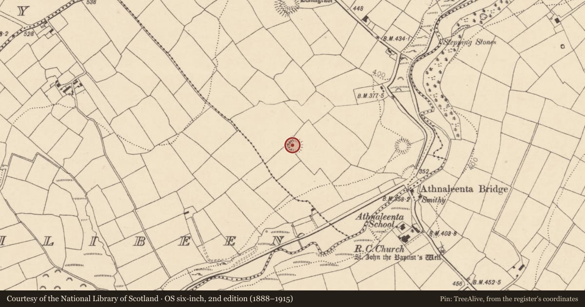 Ordnance Survey six-inch map, 2nd edition (1888–1915) covering the location of Ringfort - rath, Monaparson, County Cork, with a pin at the register's coordinates