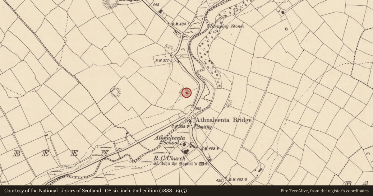 Ordnance Survey six-inch map, 2nd edition (1888–1915) covering the location of Ringfort - rath, Monaparson, County Cork, with a pin at the register's coordinates