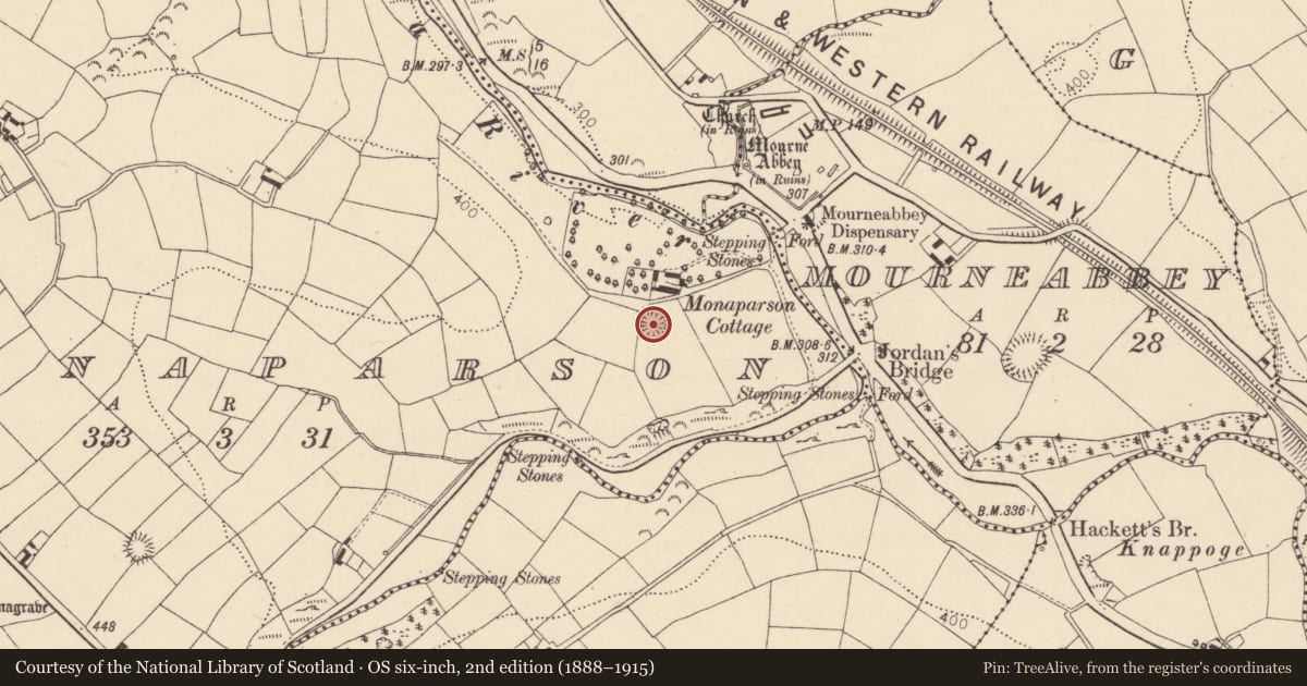 Ordnance Survey six-inch map, 2nd edition (1888–1915) covering the location of Ringfort - rath, Monaparson, County Cork, with a pin at the register's coordinates