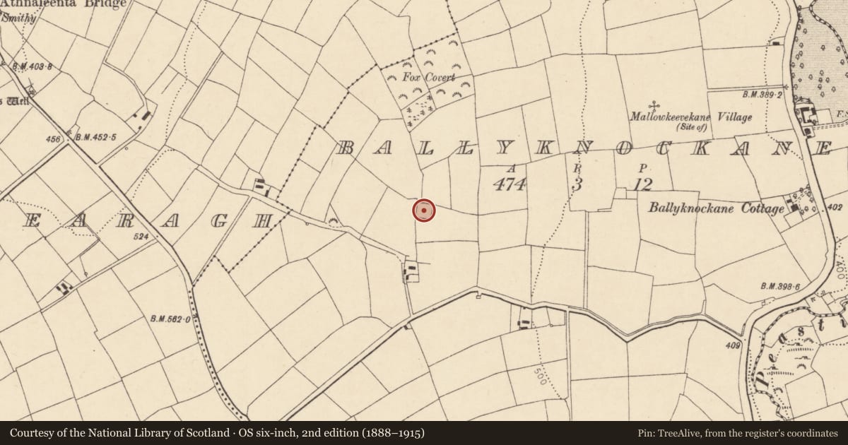 Ordnance Survey six-inch map, 2nd edition (1888–1915) covering the location of Souterrain, Ballyknockane, County Cork, with a pin at the register's coordinates