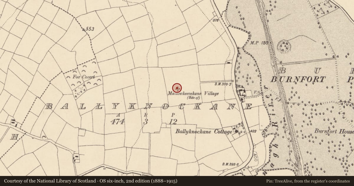 Ordnance Survey six-inch map, 2nd edition (1888–1915) covering the location of Settlement deserted - medieval, Ballyknockane, County Cork, with a pin at the register's coordinates