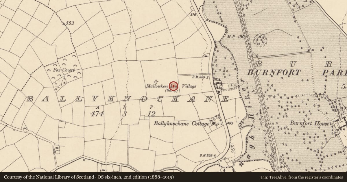 Ordnance Survey six-inch map, 2nd edition (1888–1915) covering the location of Standing stone, Ballyknockane, County Cork, with a pin at the register's coordinates