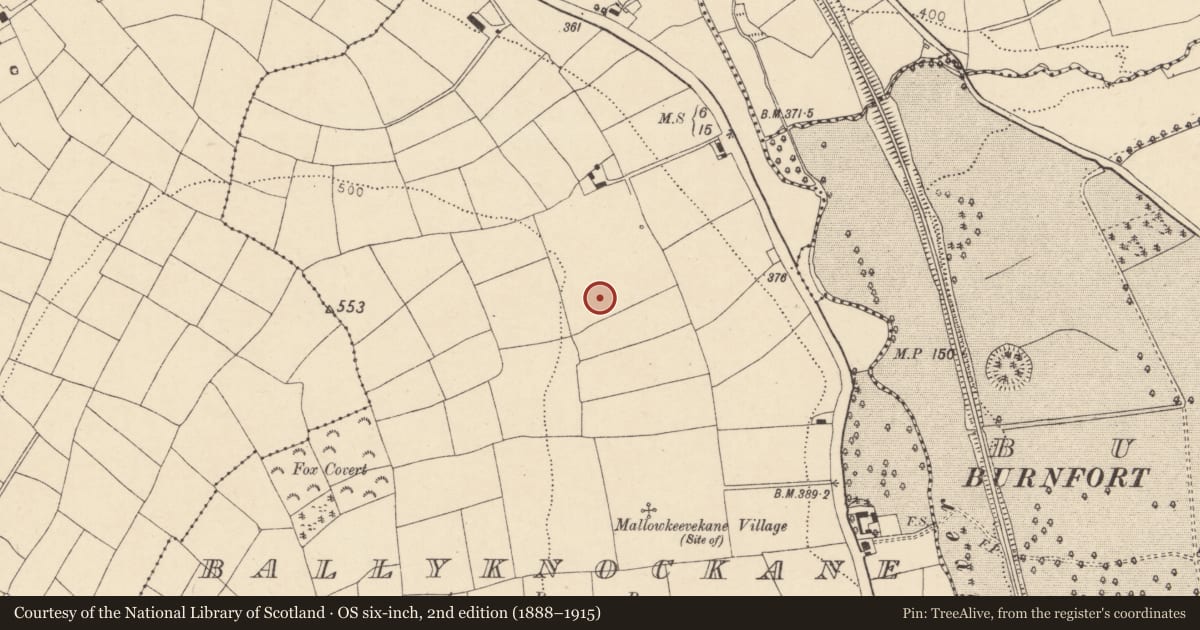 Ordnance Survey six-inch map, 2nd edition (1888–1915) covering the location of Moated site, Ballyknockane, County Cork, with a pin at the register's coordinates