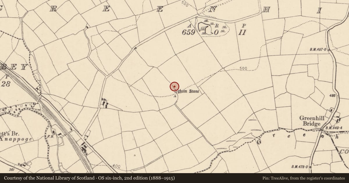 Ordnance Survey six-inch map, 2nd edition (1888–1915) covering the location of Ogham stone, Greenhill, County Cork, with a pin at the register's coordinates