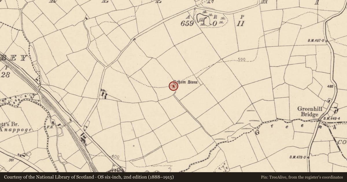 Ordnance Survey six-inch map, 2nd edition (1888–1915) covering the location of Ogham stone, Greenhill, County Cork, with a pin at the register's coordinates