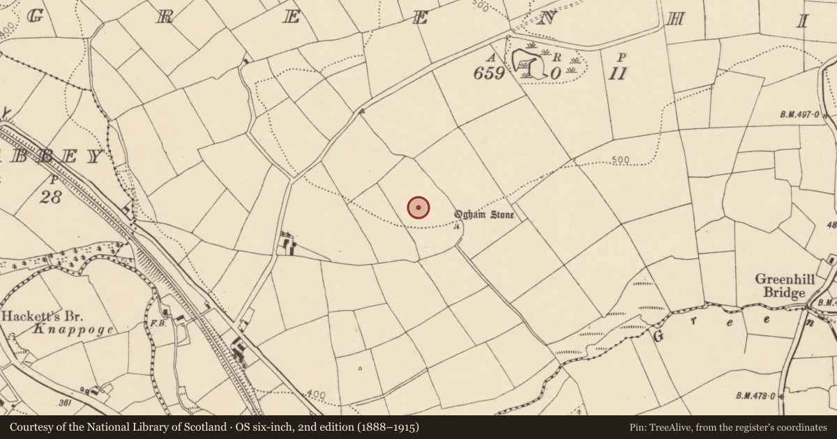 Ordnance Survey six-inch map, 2nd edition (1888–1915) covering the location of Enclosure, Greenhill, County Cork, with a pin at the register's coordinates