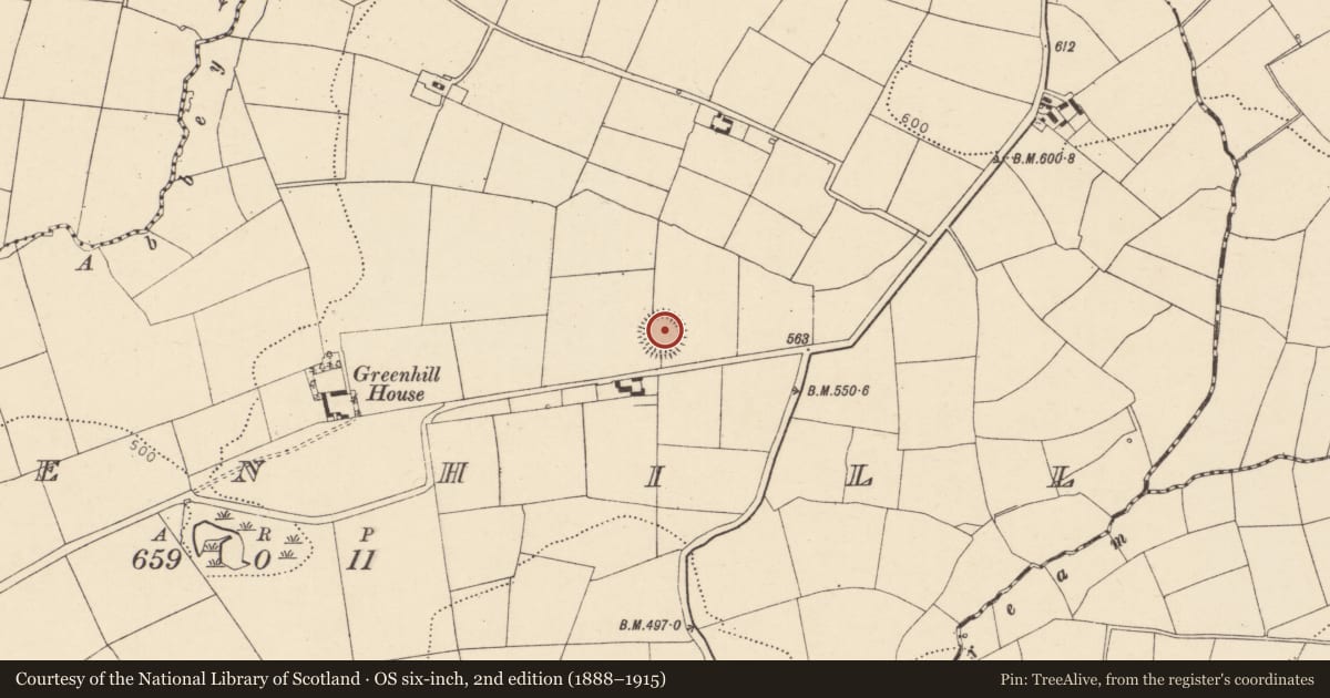 Ordnance Survey six-inch map, 2nd edition (1888–1915) covering the location of Ringfort - rath, Greenhill, County Cork, with a pin at the register's coordinates