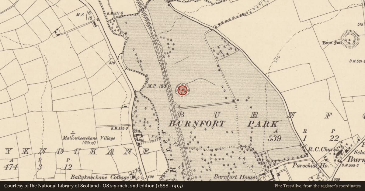 Ordnance Survey six-inch map, 2nd edition (1888–1915) covering the location of Ringfort - rath, Burnfort, County Cork, with a pin at the register's coordinates