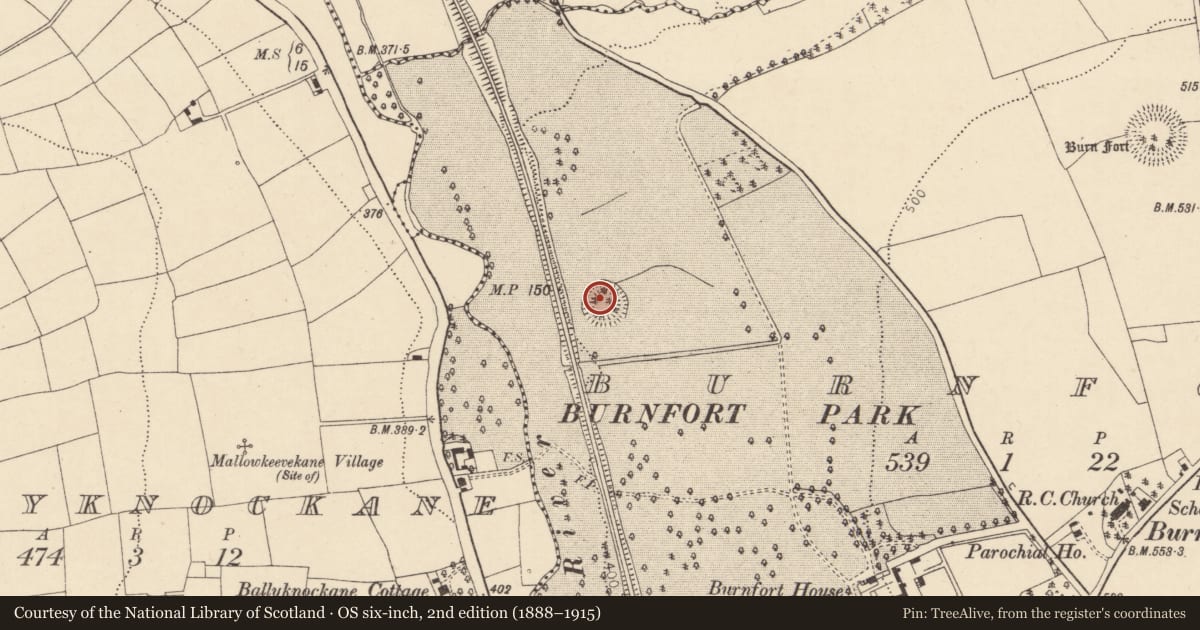 Ordnance Survey six-inch map, 2nd edition (1888–1915) covering the location of Souterrain, Burnfort, County Cork, with a pin at the register's coordinates