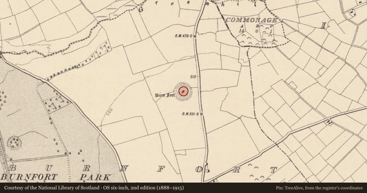 Ordnance Survey six-inch map, 2nd edition (1888–1915) covering the location of Ringfort - rath, Burnfort, County Cork, with a pin at the register's coordinates